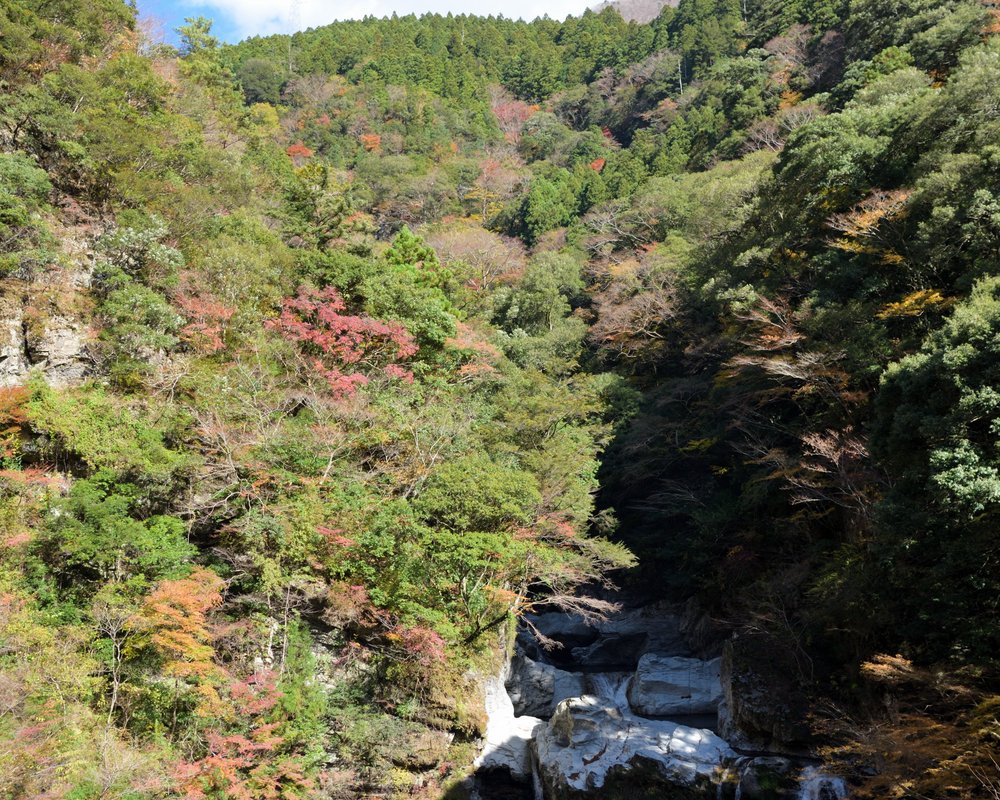 THE 10 BEST Shikoku Waterfalls (Updated 2024) - Tripadvisor