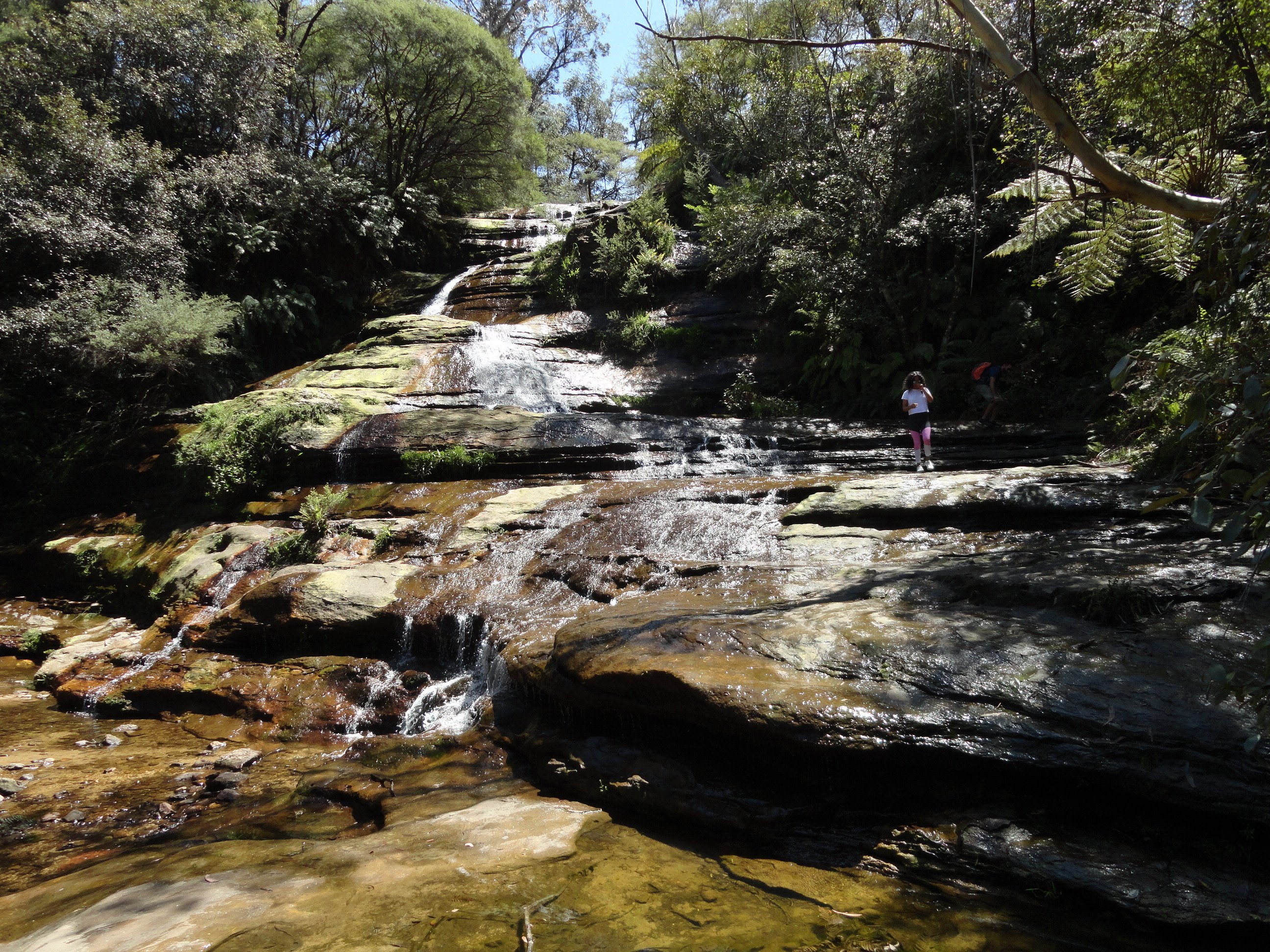 KATOOMBA CASCADES All You Need to Know BEFORE You Go (with Photos) billede