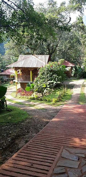 CABANAS Y CASAS DEL ARBOL LA HUERTA - Updated 2023 Prices & Inn Reviews  (Xilitla, Mexico)