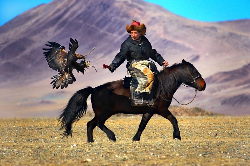 Western Mongolia Tour image