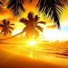 Trini_Islander.101