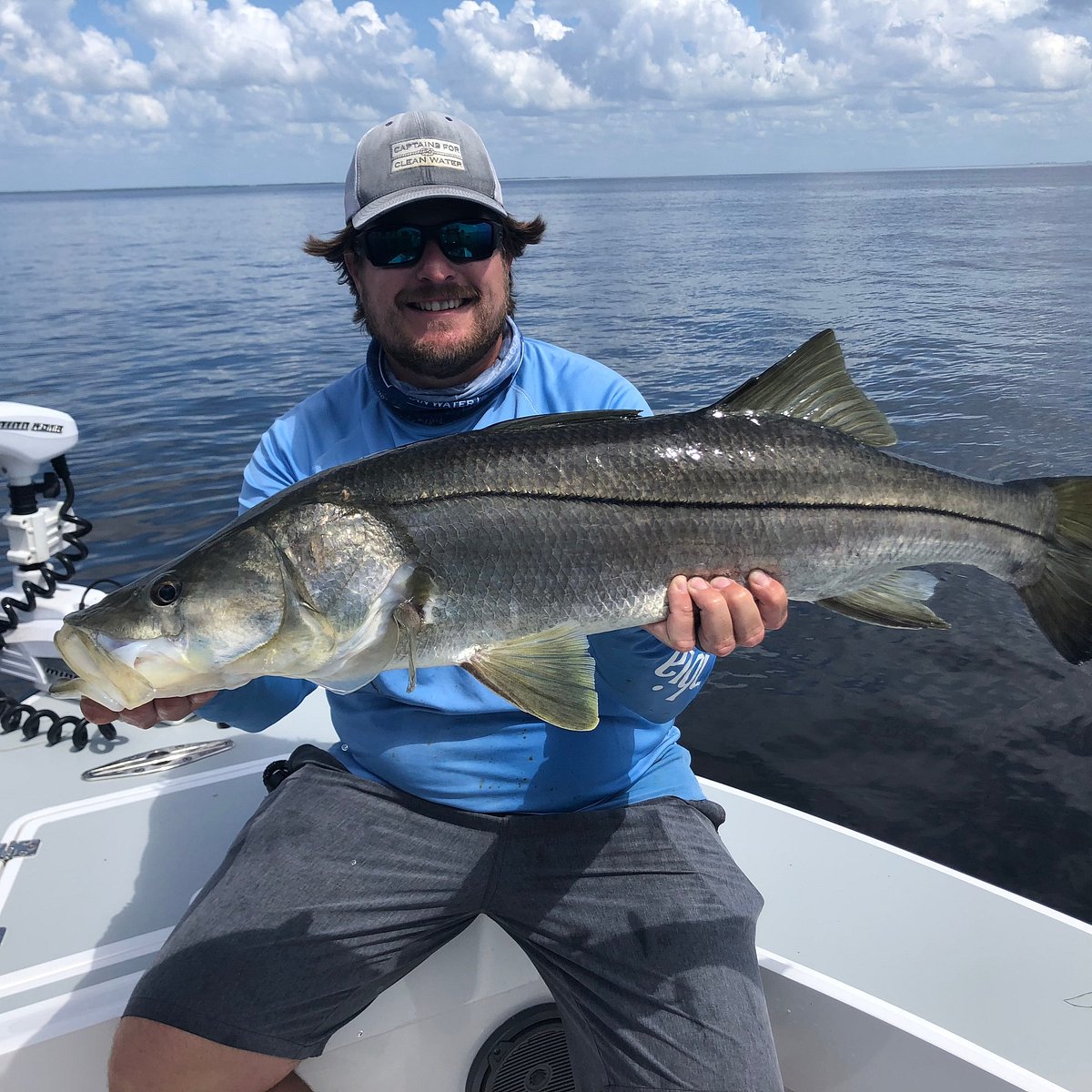 Common Snook in the Gulf of Mexico - Blue Line Fishing Charters, LLC