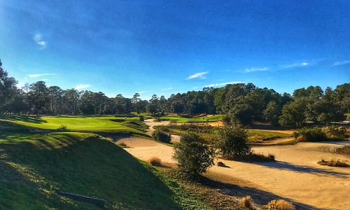 One of our top-rated courses in Florida is the Tom Fazio-designed Pine Barrens course at World Woods, which provides a dramatic taste of famous Pine Valley just north of Tampa.