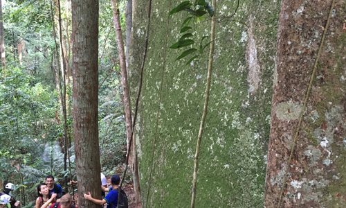 The hiking trail