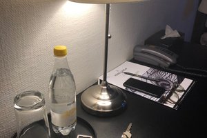 Billeder fra rejsende
