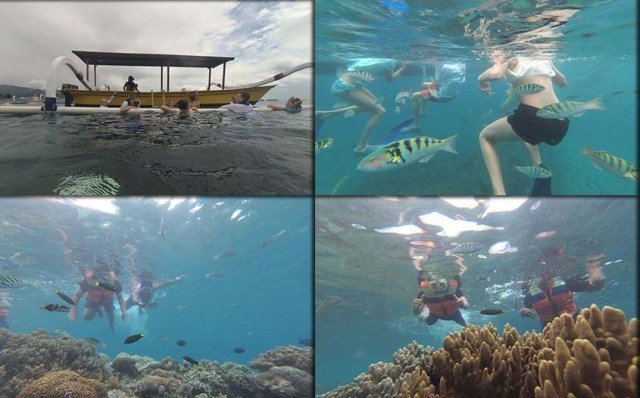 Bali Snorkeling Trip - All You Need to Know BEFORE You Go (2024)