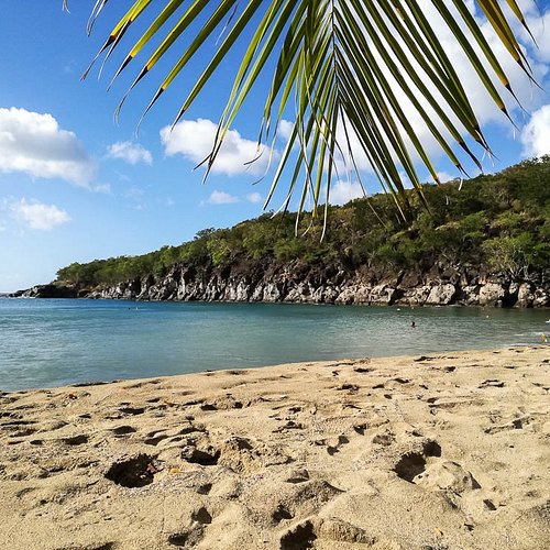 Grande Anse beach, La Desirade, Guadeloupe - Ultimate guide (March