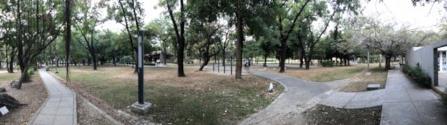 Walking paths