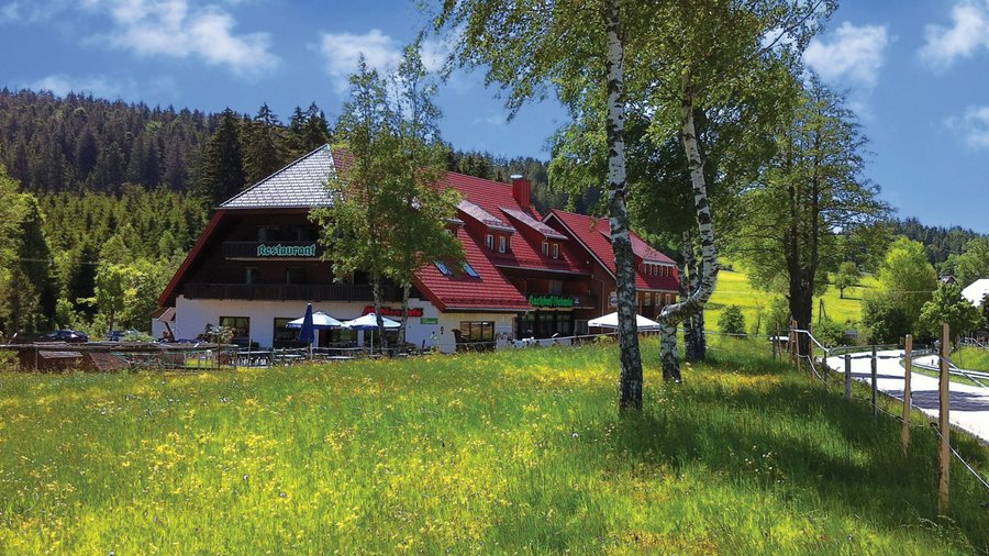 In malerischer Umgebung liegt das Hotel & Retaurant "Mühlencafé". Das Highlight ist Reinhards Hüttengaudi, wo für gute Laune bei köstlichen Speisen und Getränken gesorgt wird.