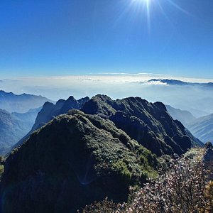 Sapa: Một thiên đường của những ngọn núi xanh bao phủ bởi sương mù. Sapa là một điểm đến lý tưởng để tận hưởng cảnh quan tự nhiên tuyệt đẹp và trải nghiệm văn hóa đa dạng của đồng bào dân tộc. Hãy xem hình ảnh để cảm nhận sự phong phú và thôi thúc sự tò mò của bạn.