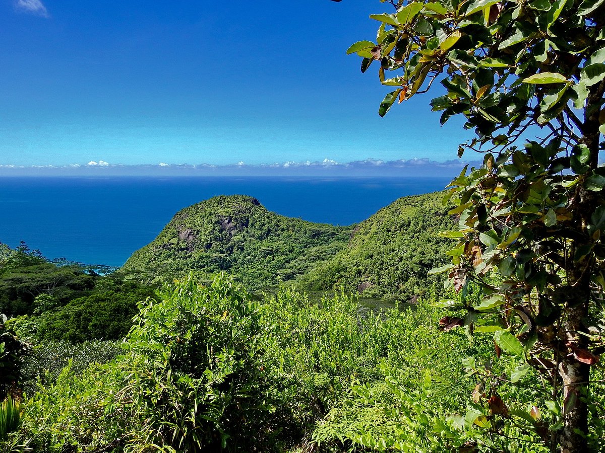 Mission Lodge Lookout, Виктория: лучшие советы перед посещением -  Tripadvisor