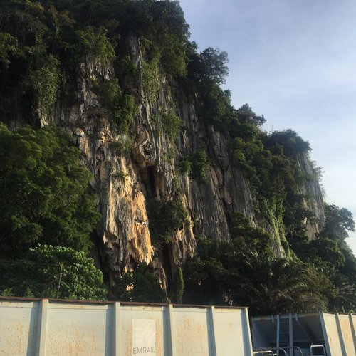 Gua Musang Jo-Ann review images
