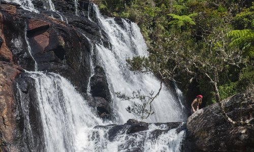 Berge überragen die romantischen Landschaften in Sri Lanka. Üppige Wälder, sprudelnde Wasserfälle und goldene Strände prägen die Natur
