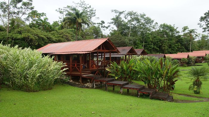 La Anita Rainforest Ranch Rooms: Pictures & Reviews - Tripadvisor