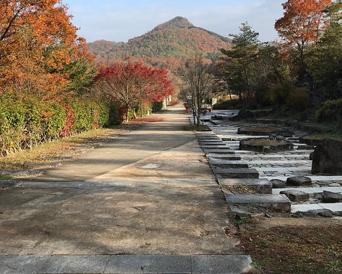 兵庫県の公園 自然 ベスト10 トリップアドバイザー