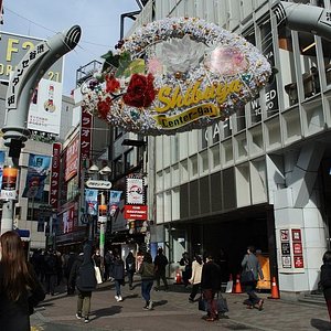 渋谷区で雨の日に楽しめるイチ押しの屋内観光スポット10 選 トリップアドバイザー