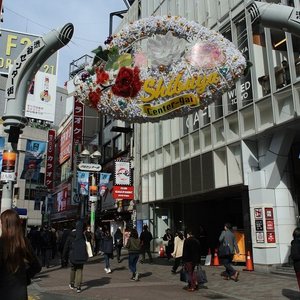 渋谷区で雨の日に楽しめるイチ押しの屋内観光スポット10 選 トリップアドバイザー