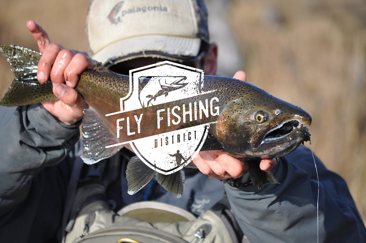 Fly Fishing District - All You Need to Know BEFORE You Go (2024)