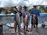 half a Skip Jack - Picture of JLC Fishing, Playa del Carmen - Tripadvisor