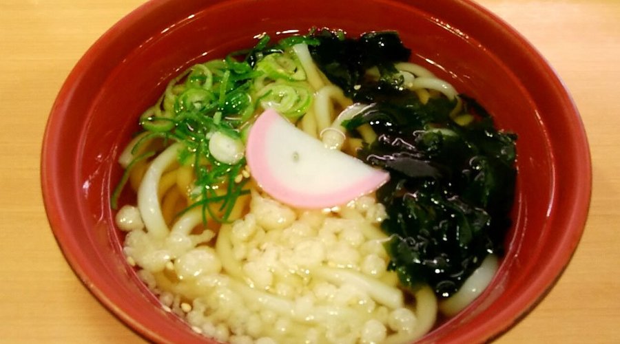 「だし旨！かけうどん」
