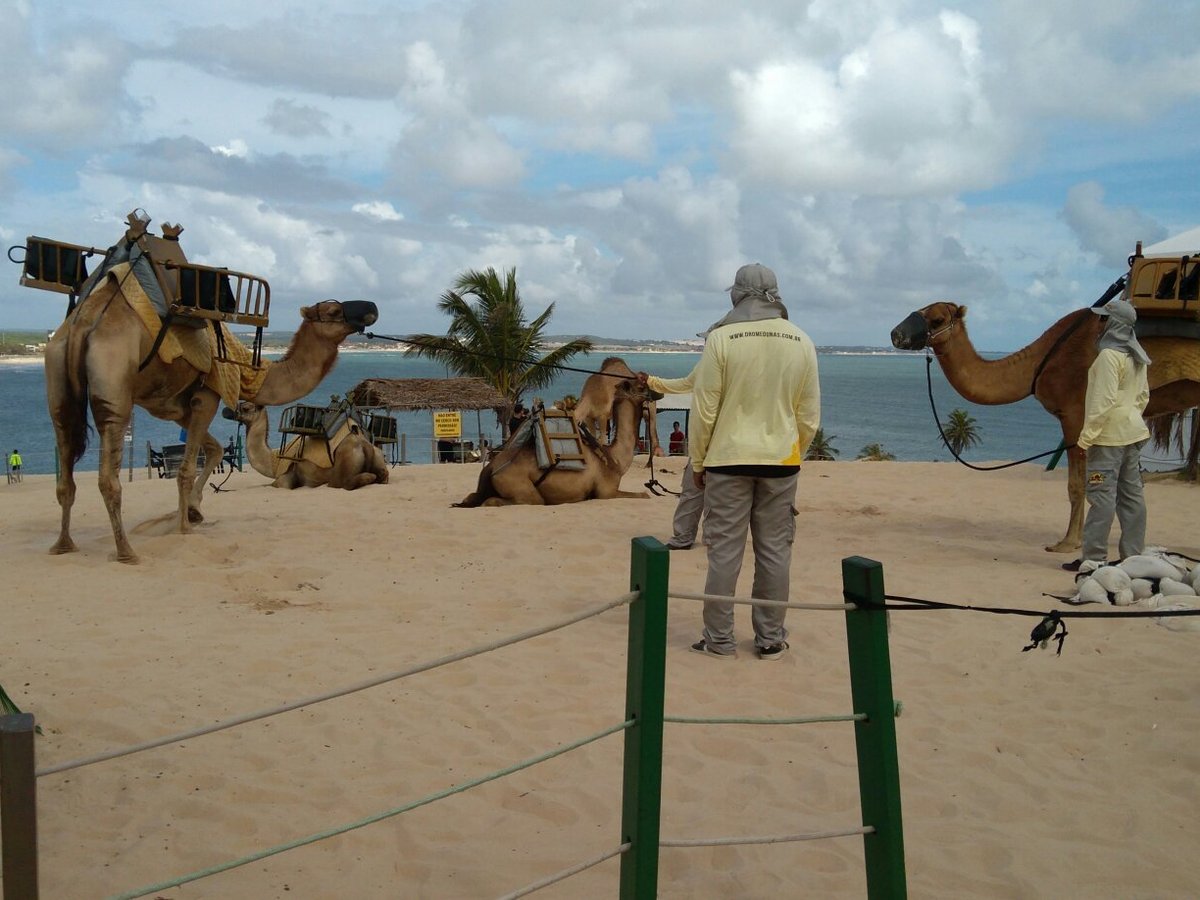 Dromedunas (Natal) - ATUALIZADO 2023 O que saber antes de ir - Sobre o que  as pessoas estão falando - Tripadvisor