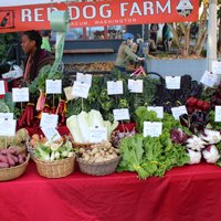 Port Townsend Farmers Market - All You Need to Know BEFORE You Go (2024)