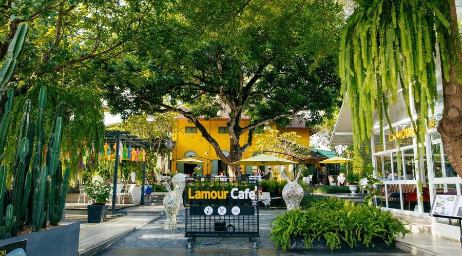 welcome to Lamour Cafe