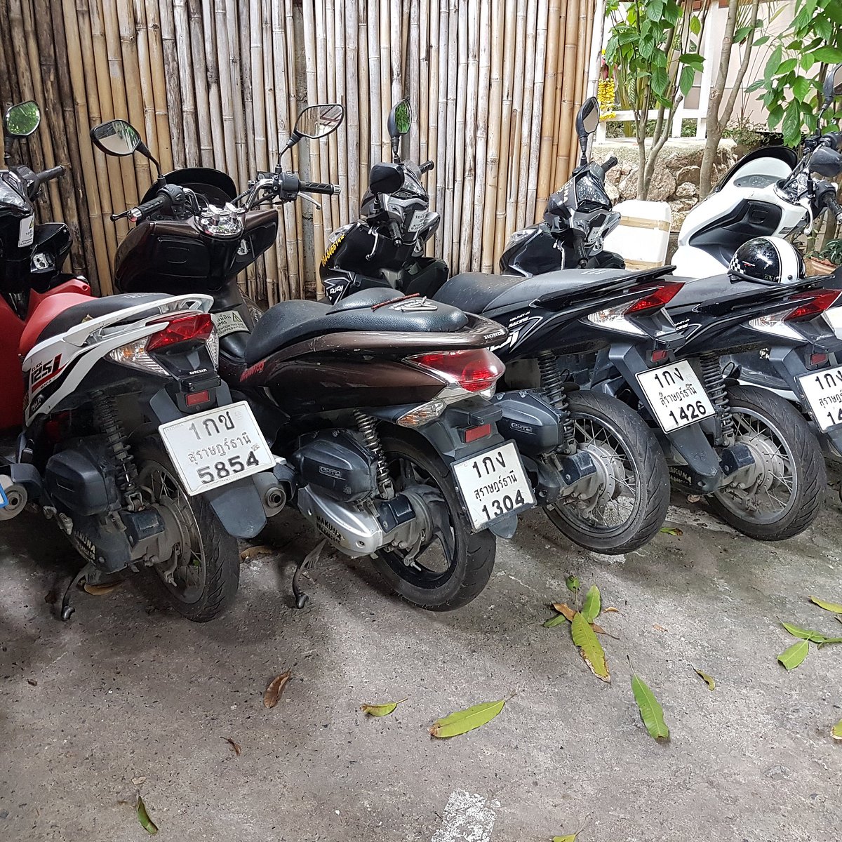 Rent Car & Motorbike Hakuna Matata, Бопхут: лучшие советы перед посещением  - Tripadvisor