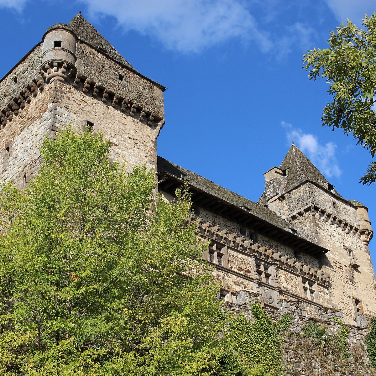 Chateau de Messilhac, Raulhac: лучшие советы перед посещением - Tripadvisor