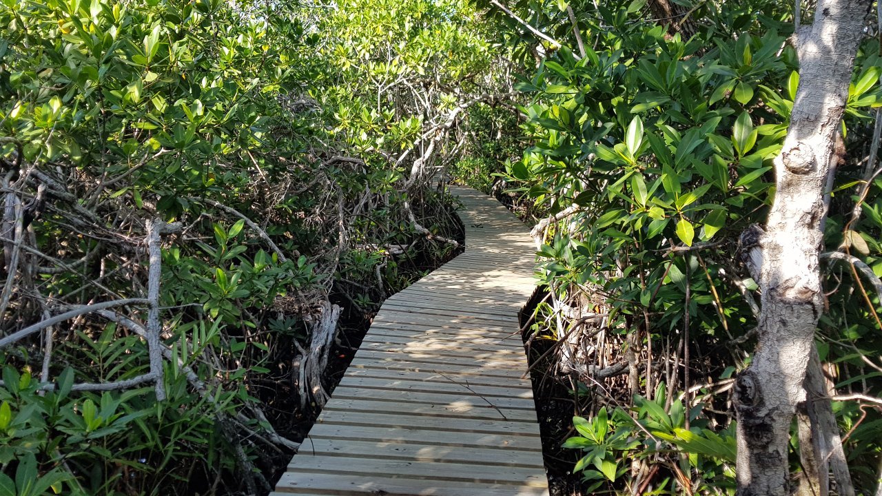 Lucayan National Park (Grand Bahama Island, Bahamas) - Review - Tripadvisor