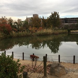 西宫市10 大公园与自然景点 Tripadvisor 西宫市10 大公园与自然景点 Tripadvisor