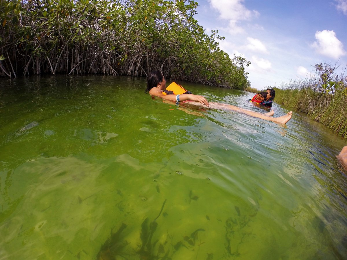 carey tours riviera maya