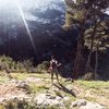 flowrsoler