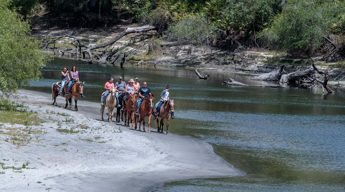 up river adventures tours