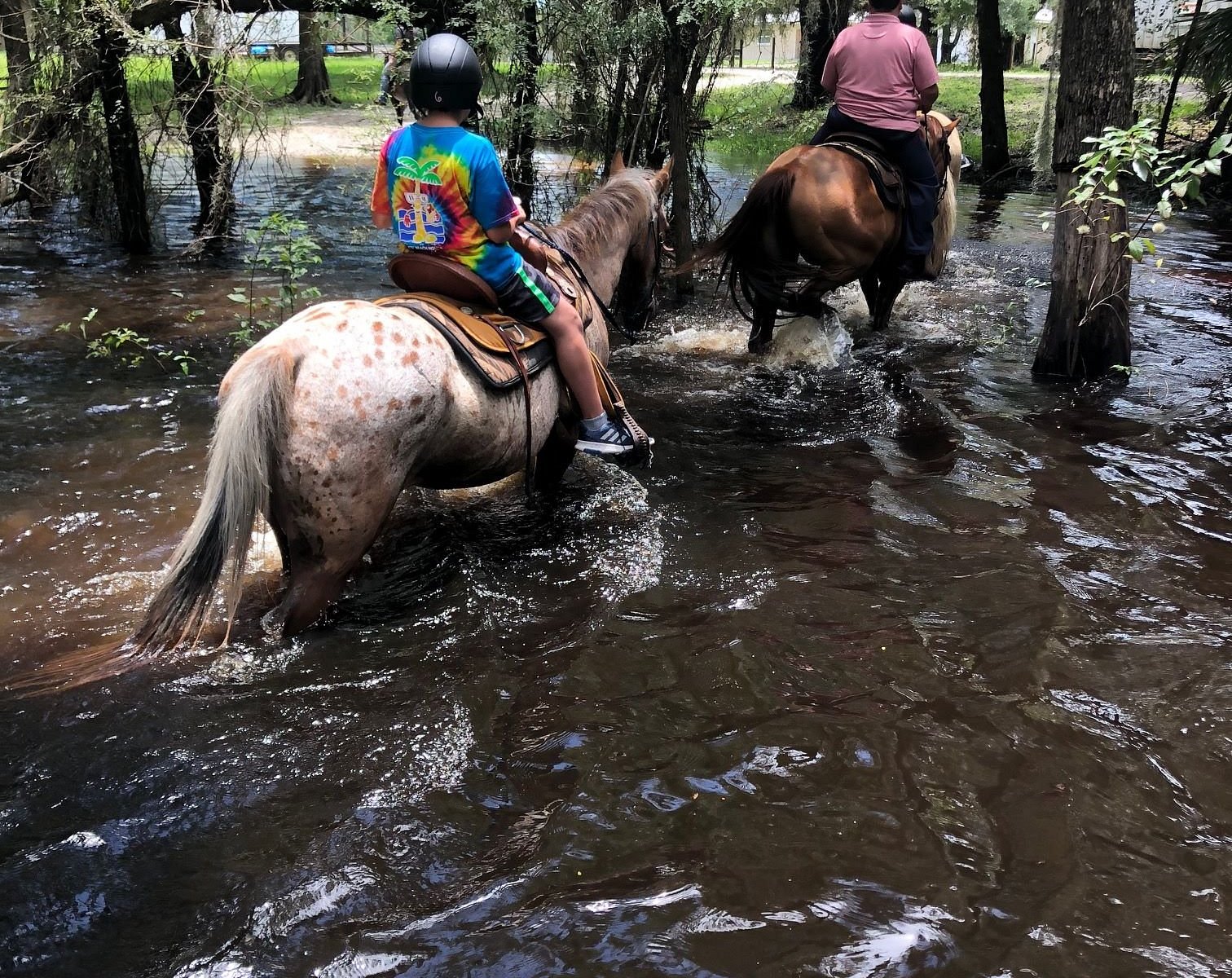 up river adventures tours