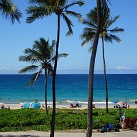 Hapuna Beach - 3 Frogs Café Location