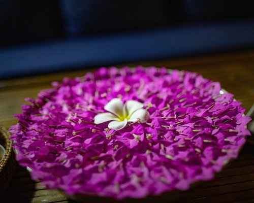 The 10 Best Massage Spas And Wellness Centers In Hoi An 2024 9188