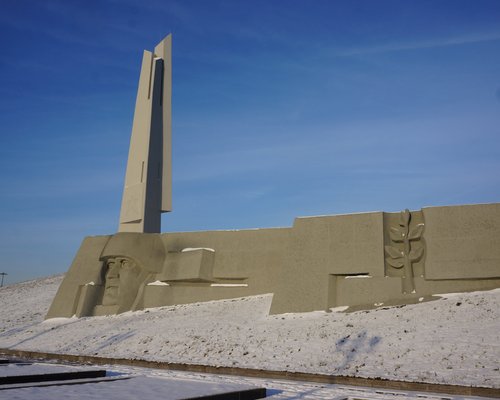 Чем почистить бетонный памятник от зелени