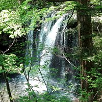 ・観瀑台からの乙女の滝