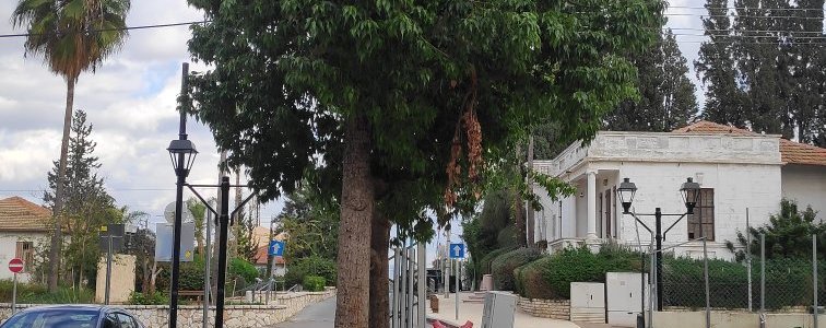 גדרה מוזיאון הבילויים