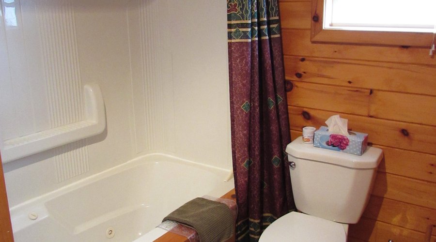 The Jacuzzi tub/shower. 