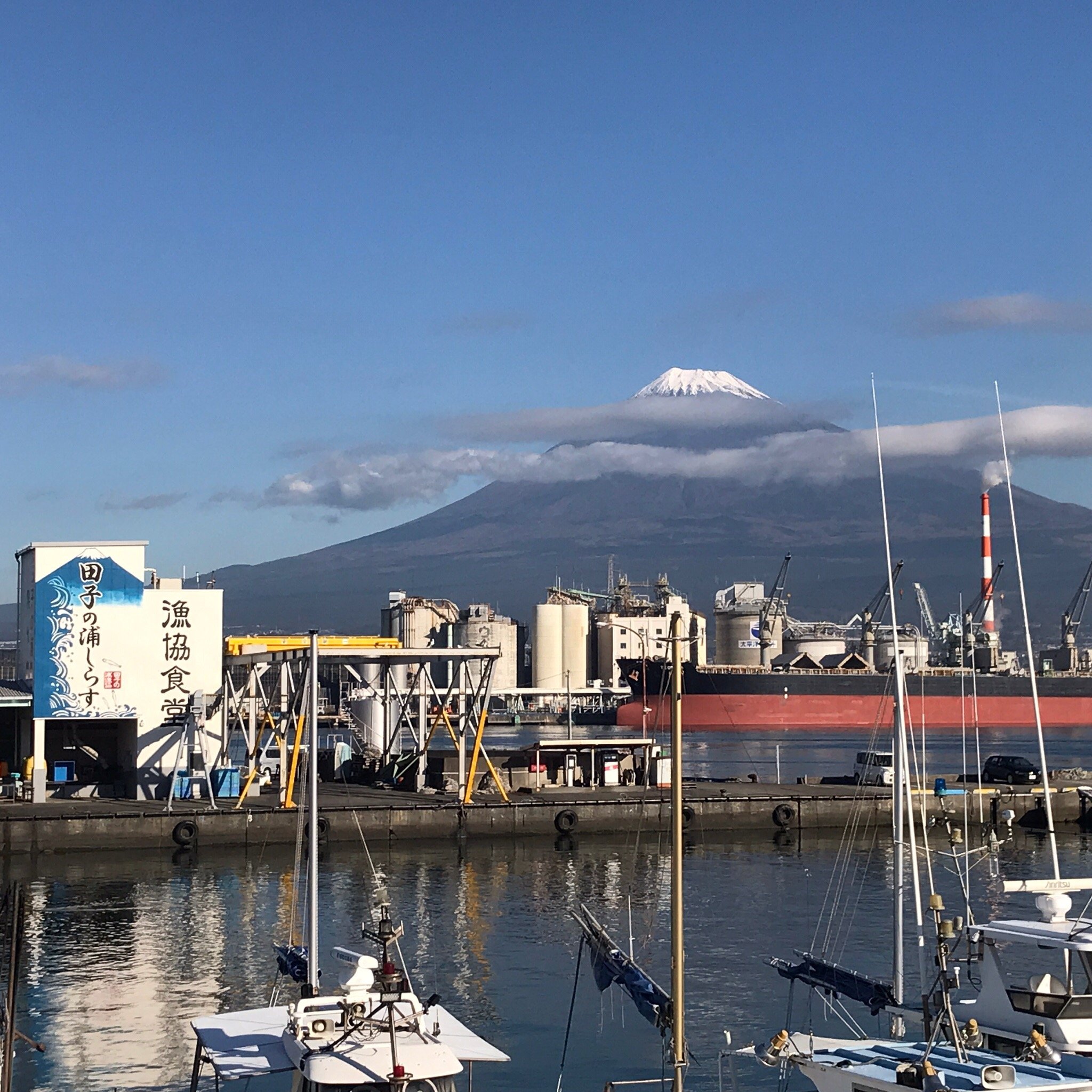 2025年 田子の浦港 - 出発前に知っておくべきことすべて 2025年 田子の浦港 - 出発前に知っておくべきことすべて