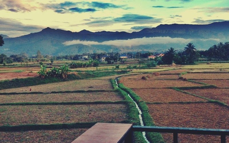view