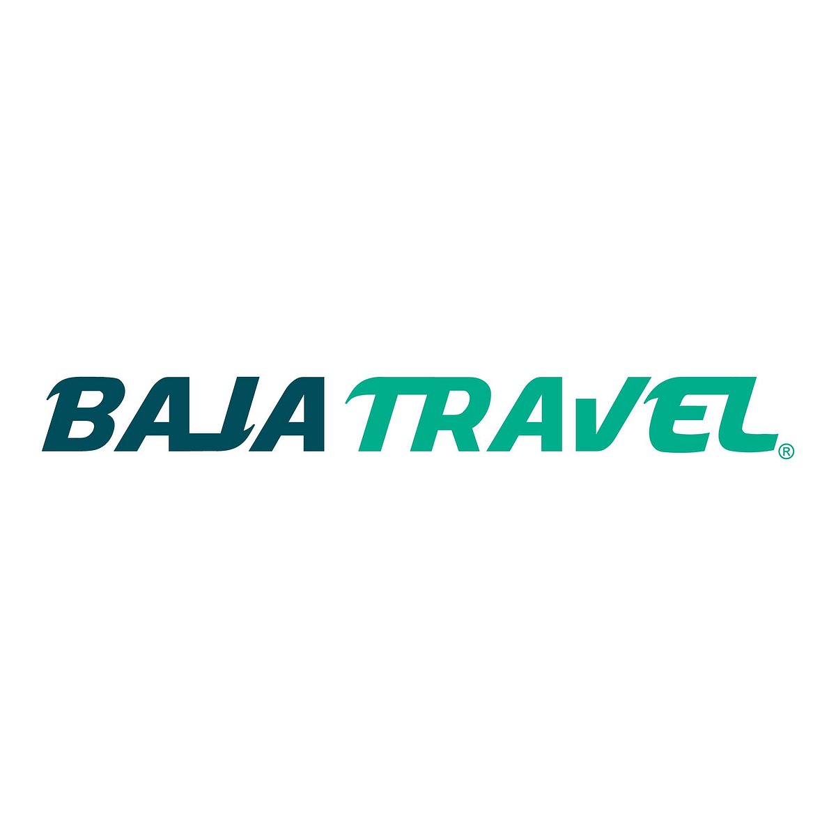 baja travel agents