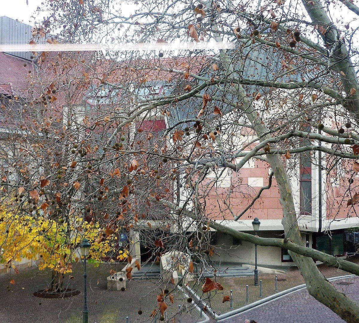 Freiburger Synagoge (Freiburg) - 2022 Lohnt es sich? (Mit fotos)