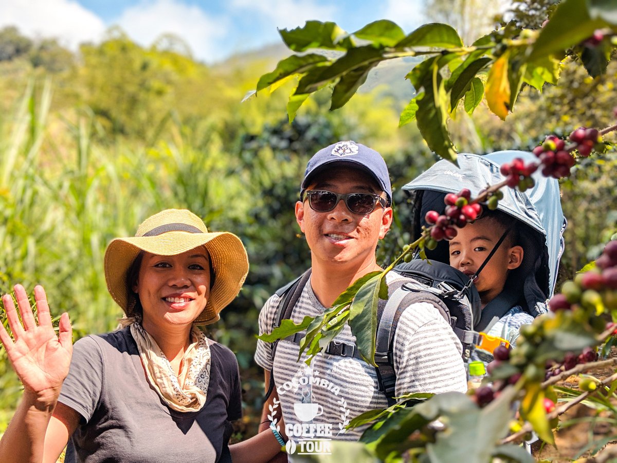 Colombian coffee farm tour and tasting in Armenia - Traveling Spoon