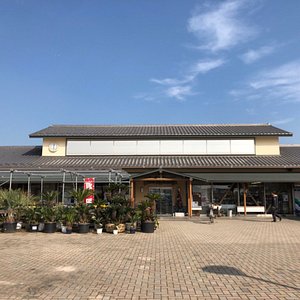 山武市で雨の日に楽しめるイチ押しの屋内観光スポット トリップアドバイザー 山武市で雨の日に楽しめるイチ押しの屋内観光スポット トリップアドバイザー