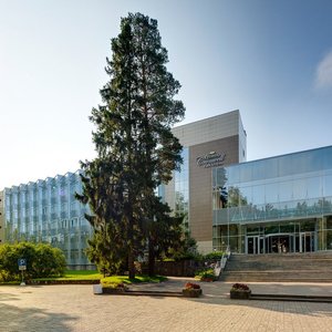 Терраса