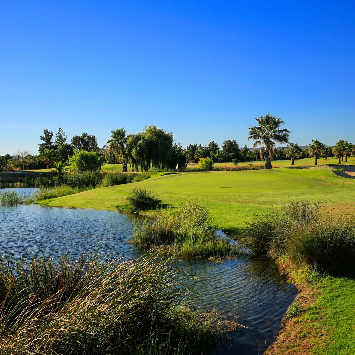 Dom Pedro Laguna Golf Course - All You Need to Know BEFORE You Go (2024)