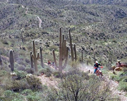 The 15 Best Things To Do In Wickenburg Updated 2022 Must See